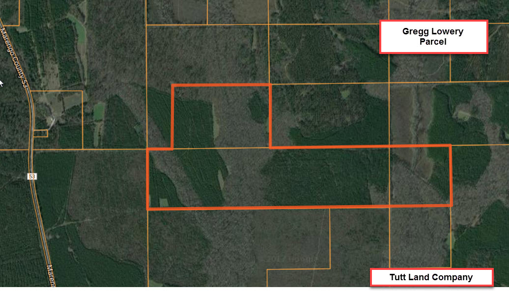 262 ac Marengo Co Thomaston Timber Tract White Hall 479,000